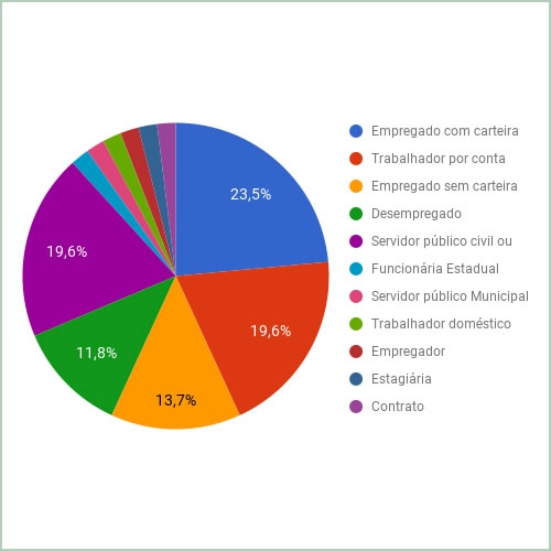 Situação empregatícia dos entrevistados