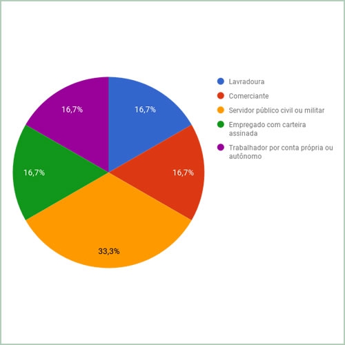 Situação empregatícia dos entrevistados